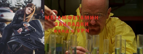 прущие грибы Балабаново