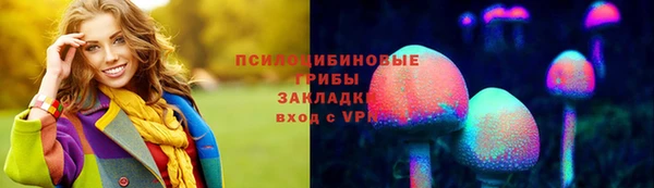 прущие грибы Балабаново
