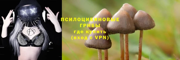 2c-b Балахна