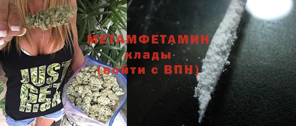 прущие грибы Балабаново