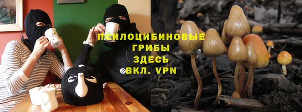 2c-b Балахна