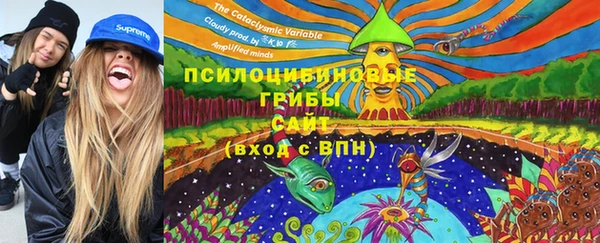 прущие грибы Балабаново