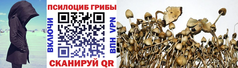 Псилоцибиновые грибы MAGIC MUSHROOMS кракен зеркало Ливны
